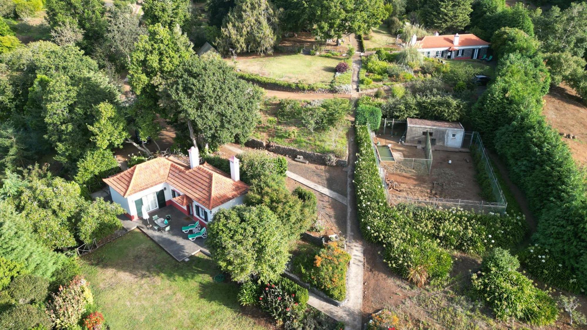 Quinta Das Faias Camacha  Room photo