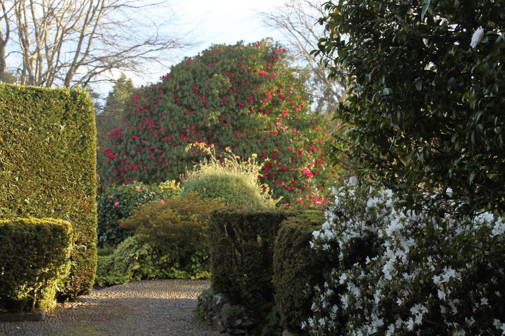 Quinta Das Faias Camacha  Exterior photo