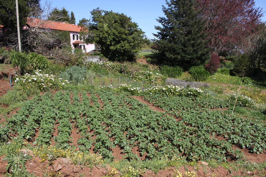 Quinta Das Faias Camacha  Exterior photo