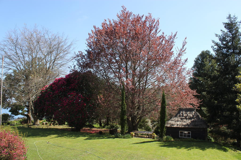 Quinta Das Faias Camacha  Exterior photo