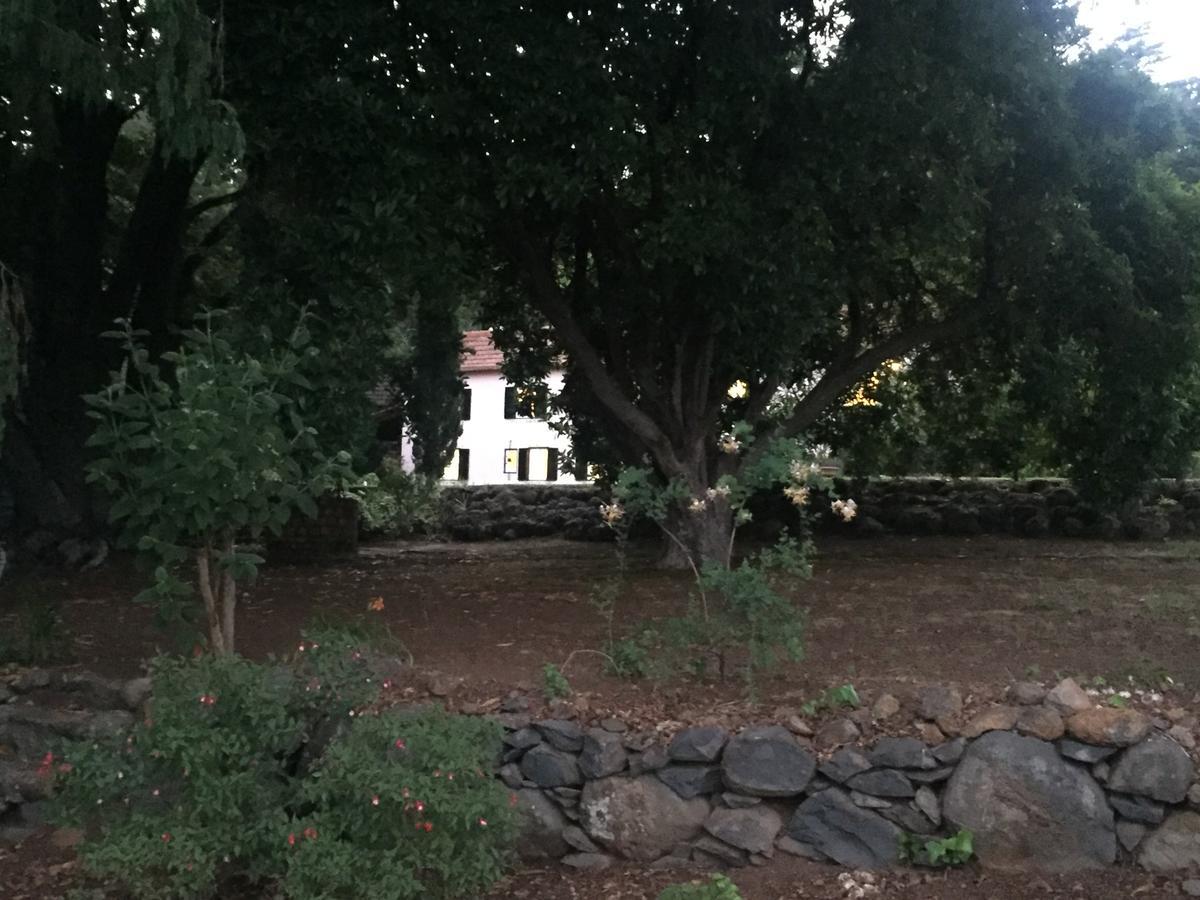 Quinta Das Faias Camacha  Exterior photo